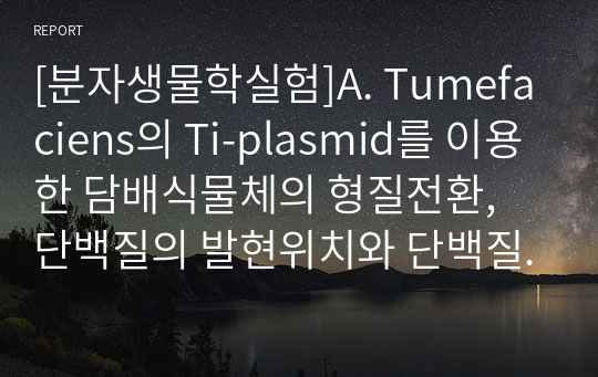 [분자생물학실험]A. Tumefaciens의 Ti-plasmid를 이용한 담배식물체의 형질전환, 단백질의 발현위치와 단백질 간의 상호작용 조사