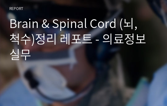 Brain &amp; Spinal Cord (뇌, 척수)정리 레포트 - 의료정보실무