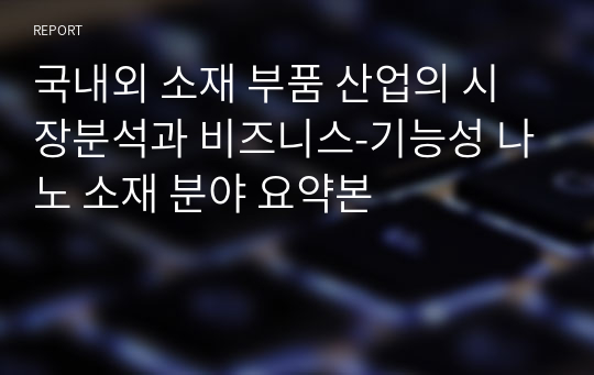 국내외 소재 부품 산업의 시장분석과 비즈니스-기능성 나노 소재 분야 요약본