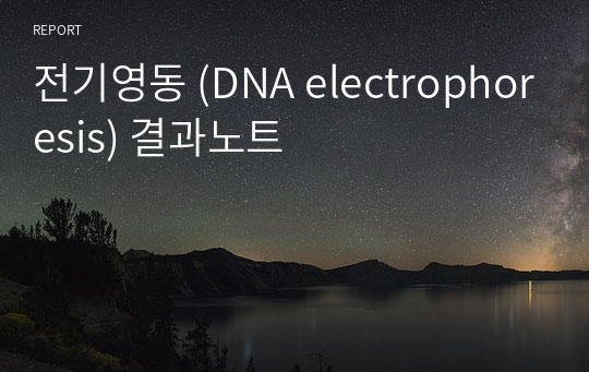 전기영동 (DNA electrophoresis) 결과노트