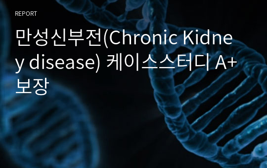 만성신부전(Chronic Kidney disease) 케이스스터디 A+보장