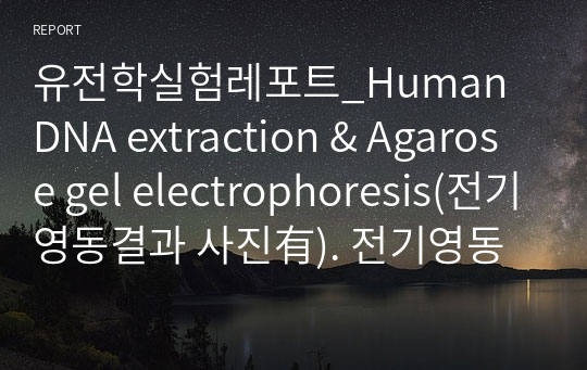 유전학실험레포트_Human DNA extraction &amp; Agarose gel electrophoresis(전기영동결과 사진有). 전기영동 방법의 종류,