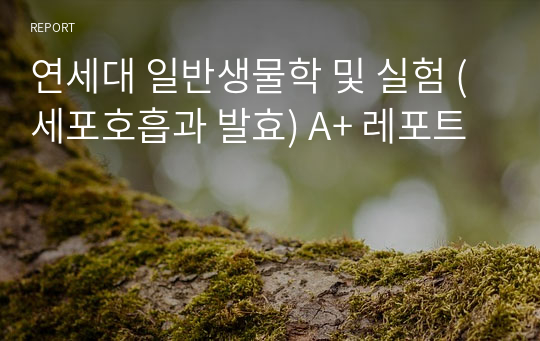 연세대 일반생물학 및 실험 (세포호흡과 발효) A+ 레포트