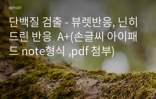 단백질 검출 - 뷰렛반응, 닌히드린 반응  A+(손글씨 아이패드 note형식 ,pdf 첨부)