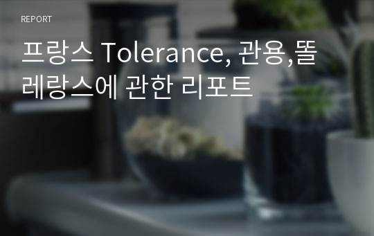 프랑스 Tolerance, 관용,똘레랑스에 관한 리포트