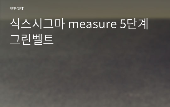 식스시그마 measure 5단계 그린벨트