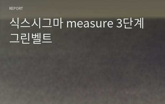 식스시그마 measure 3단계 그린벨트