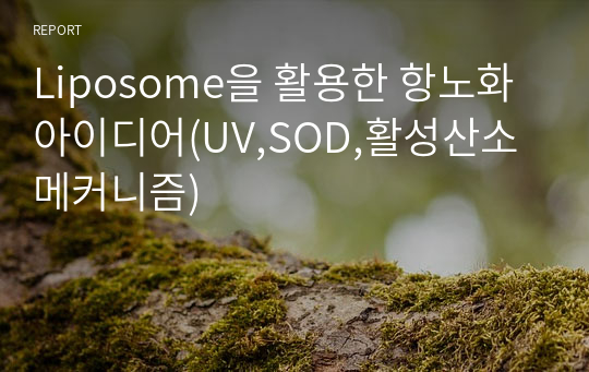 Liposome을 활용한 항노화 아이디어(UV,SOD,활성산소 메커니즘)