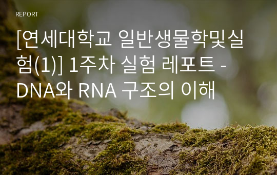 [연세대학교 일반생물학및실험(1)] 1주차 실험 레포트 - DNA와 RNA 구조의 이해
