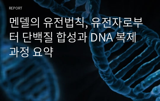 멘델의 유전법칙, 유전자로부터 단백질 합성과 DNA 복제과정 요약