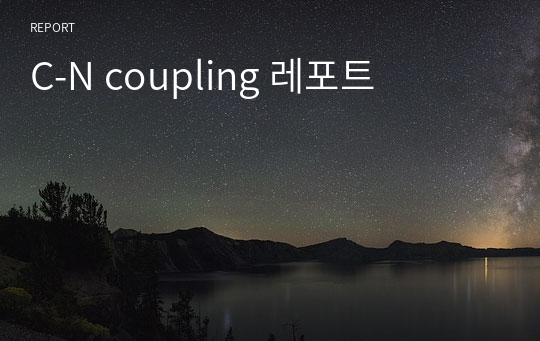 C-N coupling 레포트