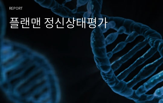 플랜맨 정신상태평가