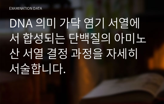 DNA 의미 가닥 염기 서열에서 합성되는 단백질의 아미노산 서열 결정 과정을 자세히 서술합니다.