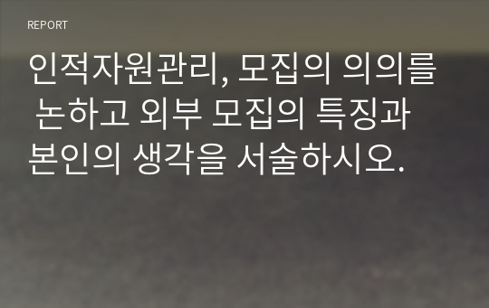 인적자원관리, 모집의 의의를 논하고 외부 모집의 특징과 본인의 생각을 서술하시오.