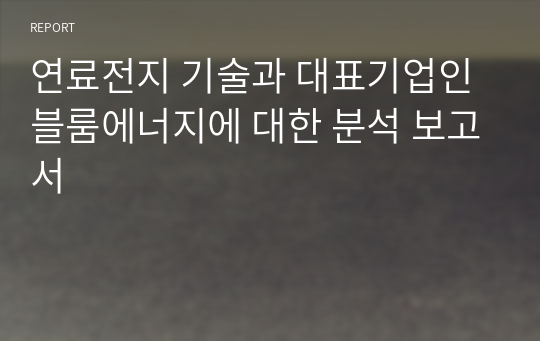 연료전지 기술과 대표기업인 블룸에너지에 대한 분석 보고서