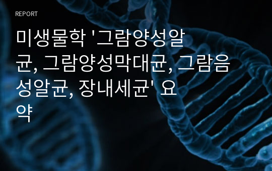 미생물학 &#039;그람양성알균, 그람양성막대균, 그람음성알균, 장내세균&#039; 요약