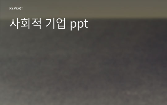 사회적 기업 ppt