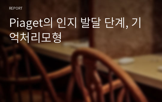 Piaget의 인지 발달 단계, 기억처리모형