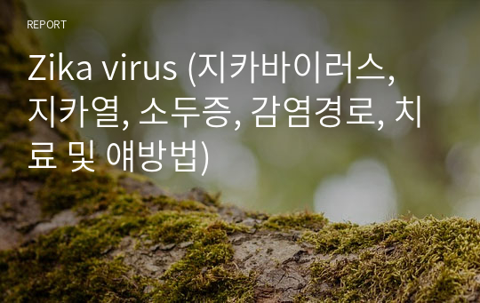 Zika virus (지카바이러스, 지카열, 소두증, 감염경로, 치료 및 얘방법)