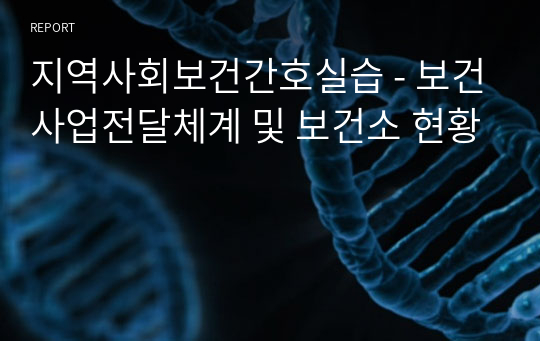 지역사회보건간호실습 - 보건사업전달체계 및 보건소 현황