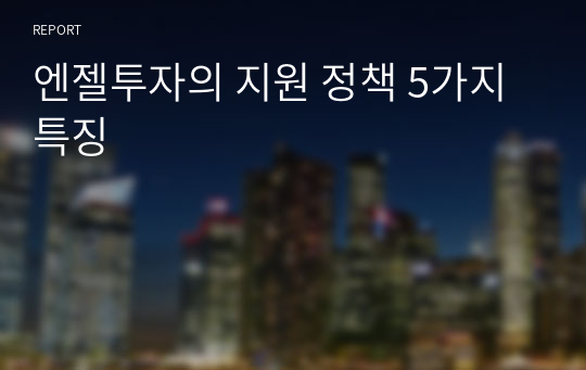 엔젤투자의 지원 정책 5가지 특징