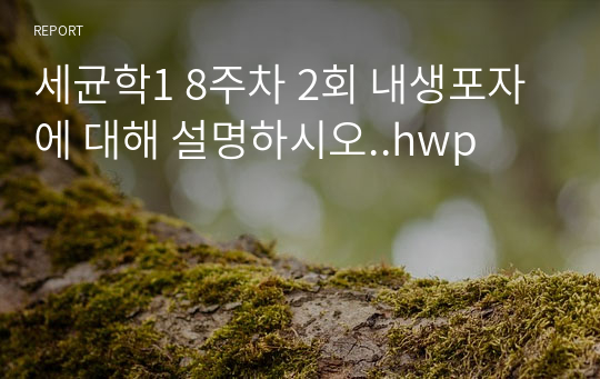 세균학1 8주차 2회 내생포자에 대해 설명하시오..hwp