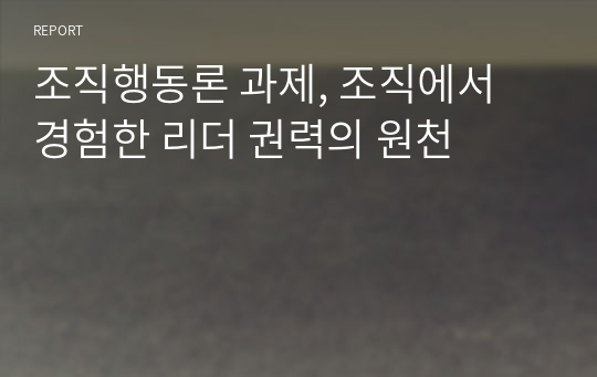 조직행동론 과제, 조직에서 경험한 리더 권력의 원천