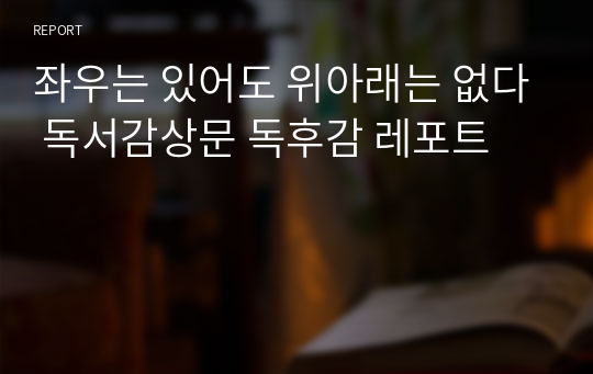 좌우는 있어도 위아래는 없다 독서감상문 독후감 레포트