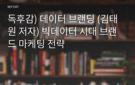 독후감) 데이터 브랜딩 (김태원 저자) 빅데이터 시대 브랜드 마케팅 전략