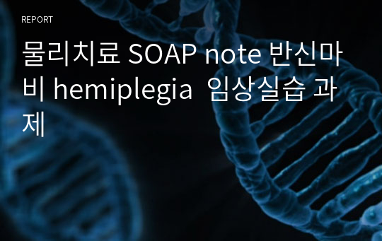 물리치료 SOAP note 반신마비 hemiplegia  임상실습 과제