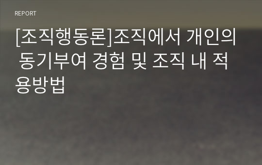 [조직행동론]조직에서 개인의 동기부여 경험 및 조직 내 적용방법(매슬로우의 욕구단계이론, 알더퍼의 ERG이론, 맥그리거의 XY이론, 허즈버그의 2요인이론)