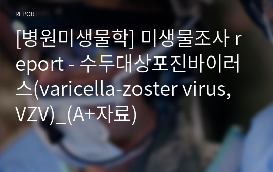 [병원미생물학] 미생물조사 report - 수두대상포진바이러스(varicella-zoster virus, VZV)_(A+자료)