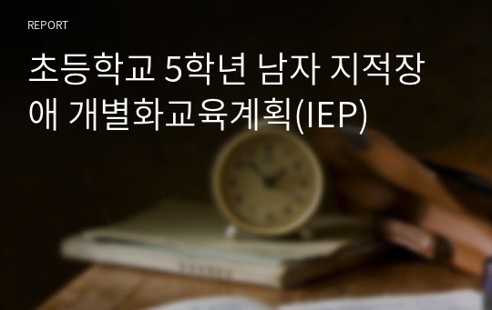 초등학교 5학년 남자 지적장애 개별화교육계획(IEP)