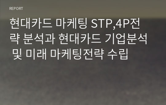 현대카드 마케팅 STP,4P전략 분석과 현대카드 기업분석 및 미래 마케팅전략 수립