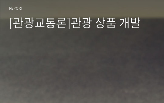 [관광교통론]관광 상품 개발