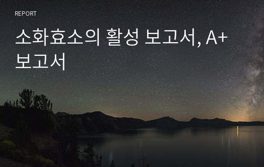 소화효소의 활성 보고서, A+ 보고서