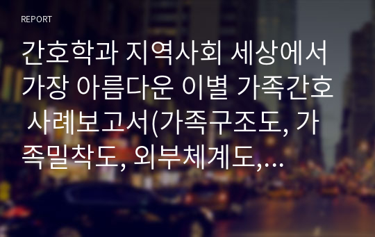 간호학과 지역사회 세상에서 가장 아름다운 이별 가족간호 사례보고서(가족구조도, 가족밀착도, 외부체계도, 사회지지도 등 포함) 진단 3개