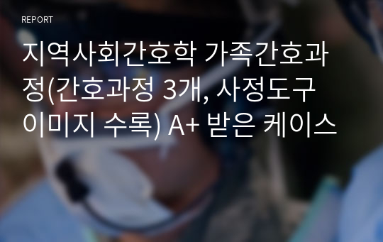 지역사회간호학 가족간호과정(간호과정 3개, 사정도구 이미지 수록) A+ 받은 케이스