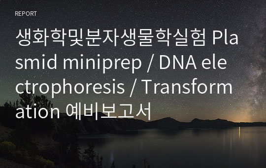 생화학및분자생물학실험 Plasmid miniprep / DNA electrophoresis / Transformation 예비보고서