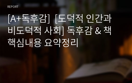 [A+독후감]  [도덕적 인간과 비도덕적 사회] 독후감 &amp; 책 핵심내용 요약정리