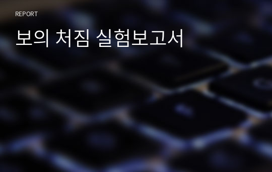 보의 처짐 실험보고서