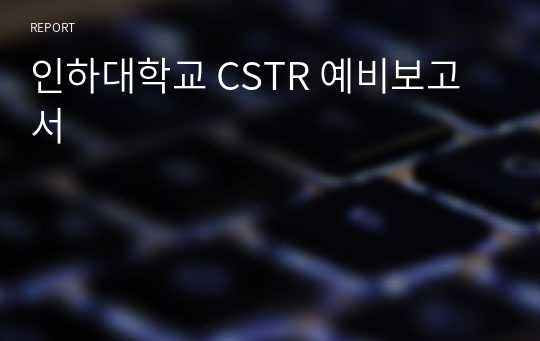 인하대학교 CSTR 예비보고서