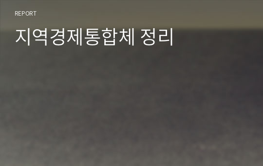 지역경제통합체 정리