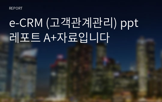 e-CRM (고객관계관리) ppt 레포트 A+자료입니다