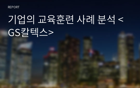 기업의 교육훈련 사례 분석 &lt;GS칼텍스&gt;