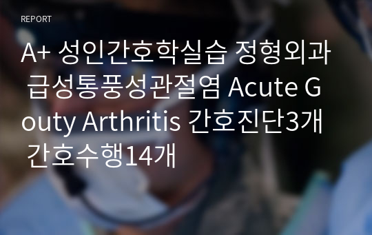 A+ 성인간호학실습 정형외과 급성통풍성관절염 Acute Gouty Arthritis 간호진단3개 간호수행14개