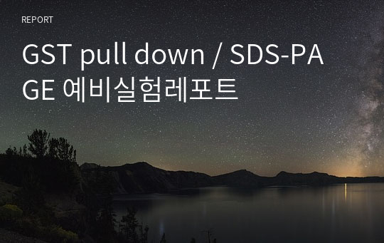 GST pull down / SDS-PAGE 예비실험레포트