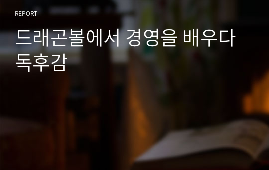 드래곤볼에서 경영을 배우다 독후감