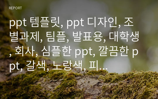 이 ppt는 신은 수학자인가? 라는 책을 가지고 발표할 때 사용했던 ppt