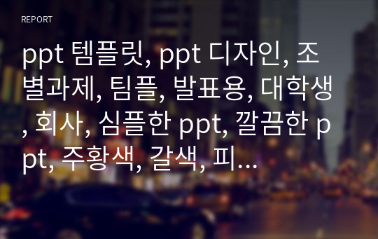 제노사이드를 주제로 발표했던 ppt 